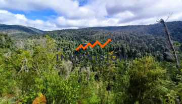 Inmovisión Gestión Inmobiliaria VENDE hectáreas en Purranque